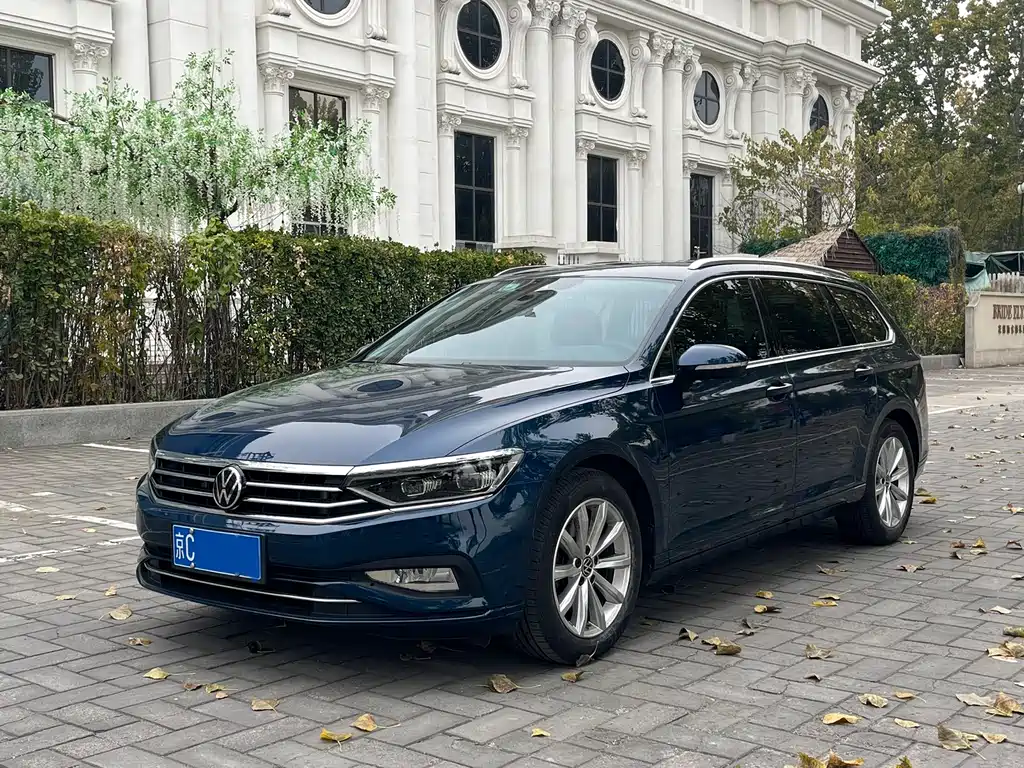 Weilan 2021 model 2.0T Shuxing Version