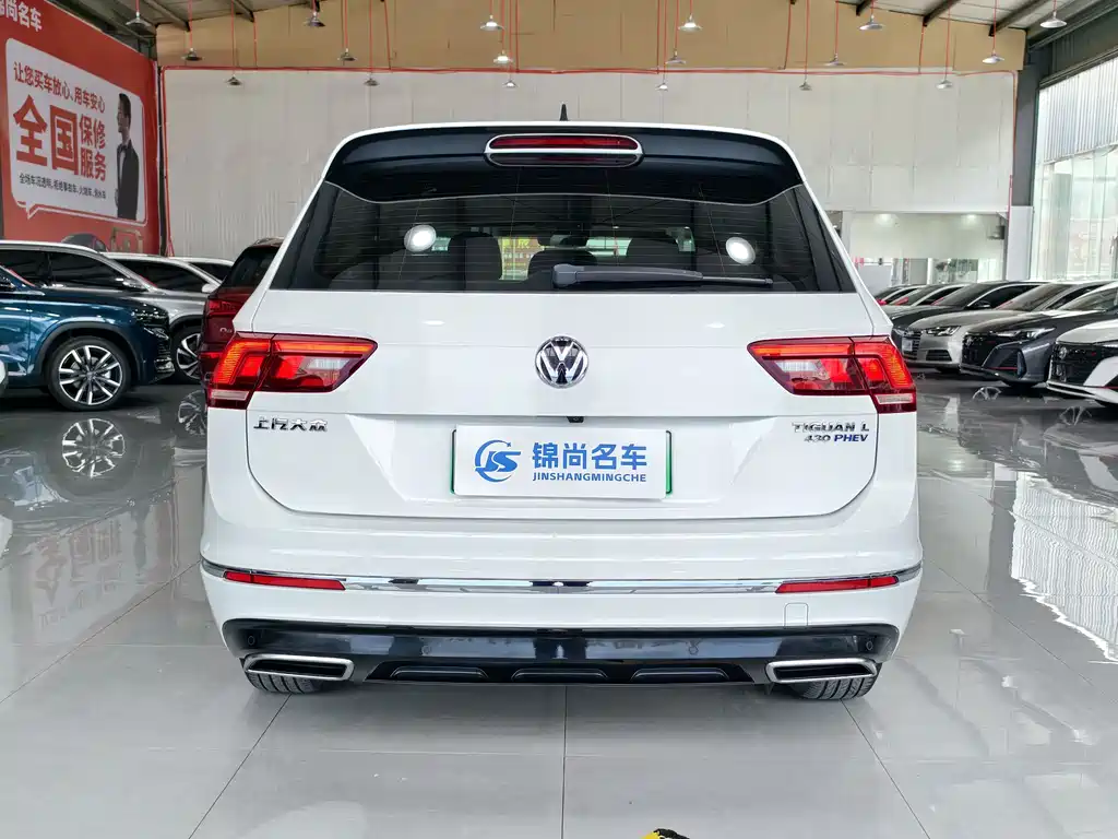 Tiguan L New Energy 2020 430PHEV plug-in hybrid Premium Edition