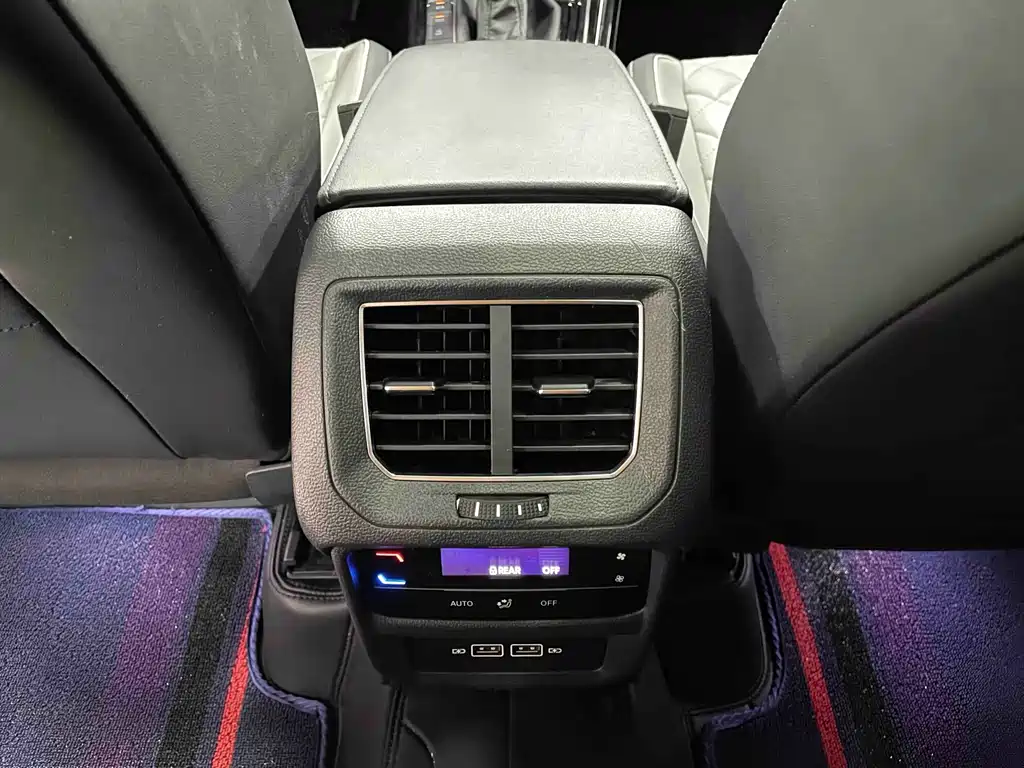 Tanyue 2023 280TSI two-wheel drive Luxury Plus Advanced Version