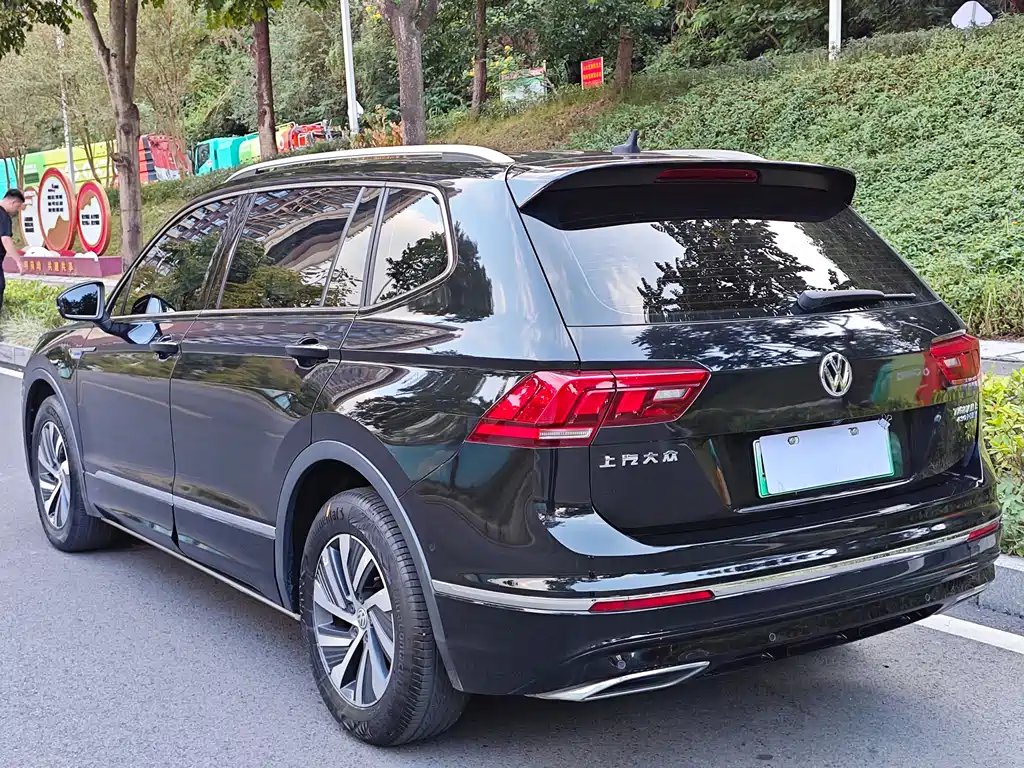 Tiguan L New Energy 2020 430PHEV plug-in hybrid Premium Edition