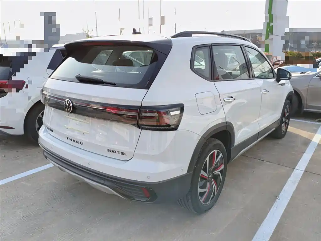 Tuyue 2024 300TSI two-wheel drive Monthly Edition