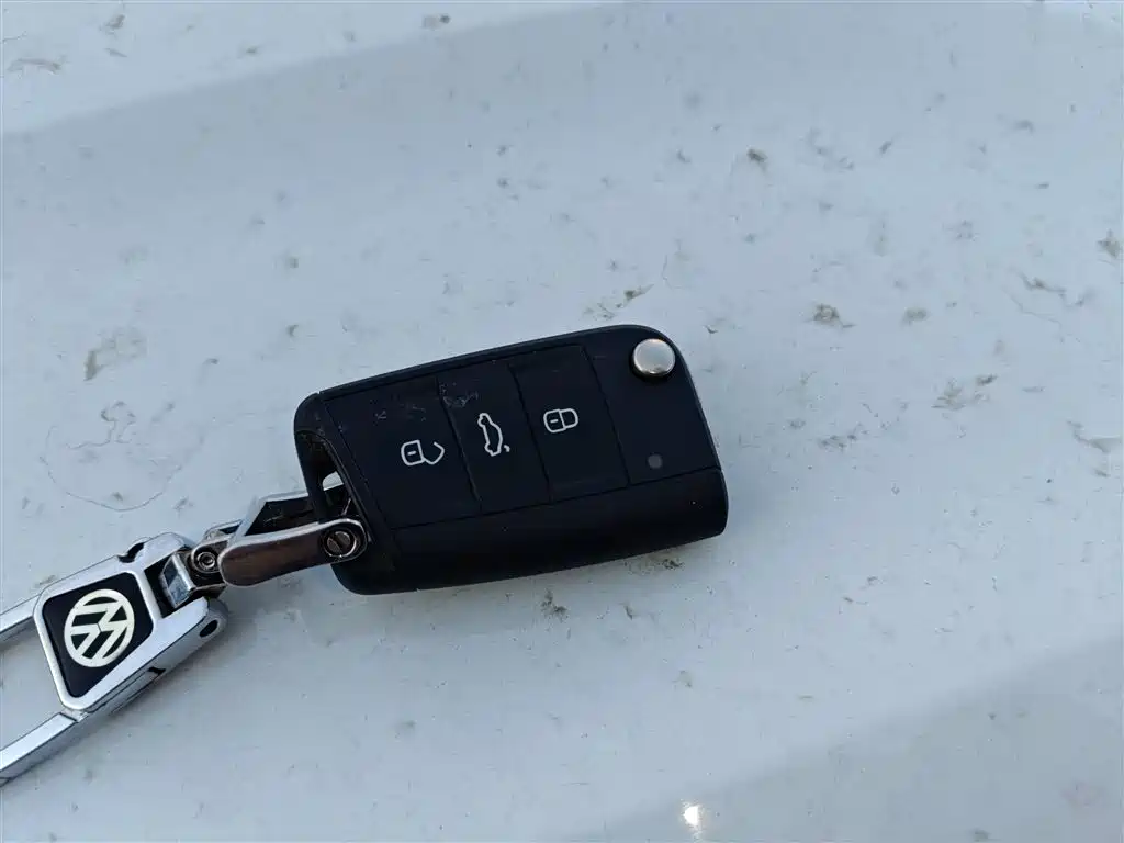 Tanying 2020 1.5L Automatic Yue