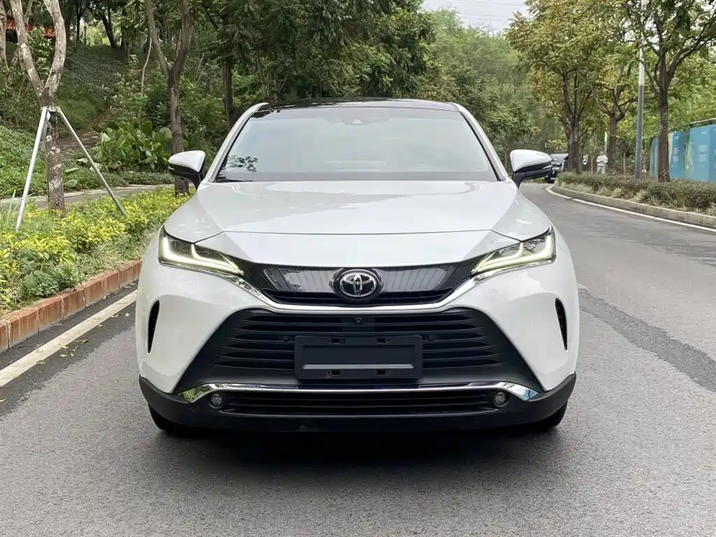 Lingfang HARRIER 2022 2.0L CVT two-wheel drive Exclusive Edition