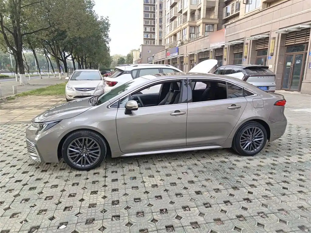 Lingshang 2021 2.0 L Deluxe Edition