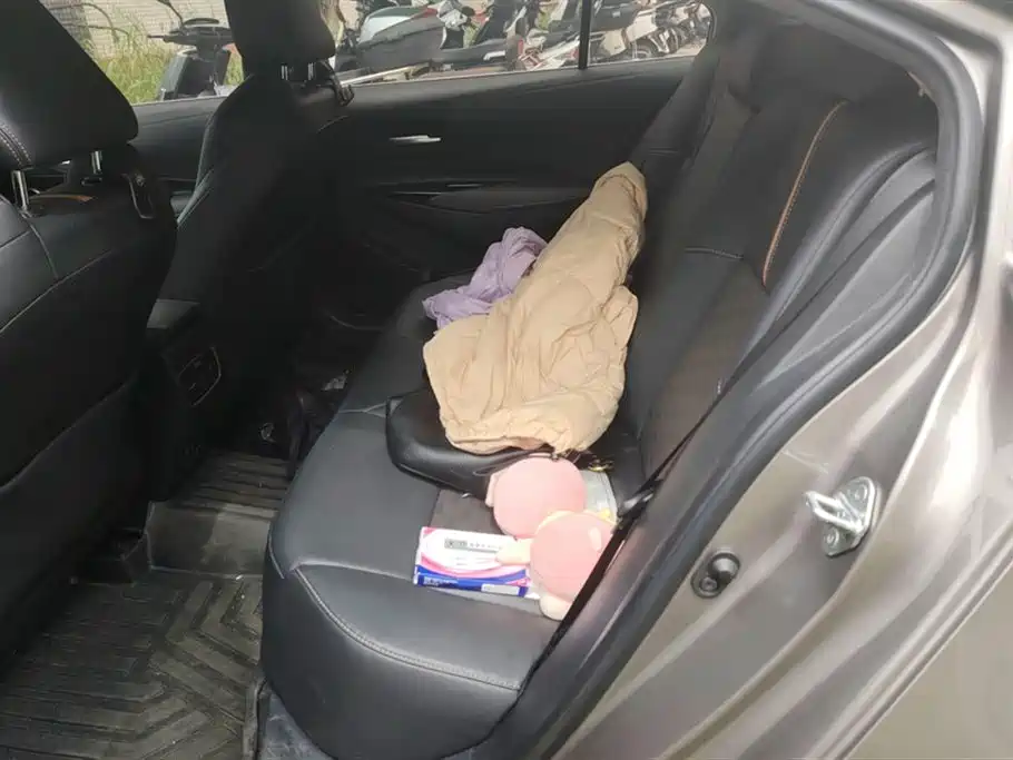 Lingshang 2021 2.0 L Deluxe Edition