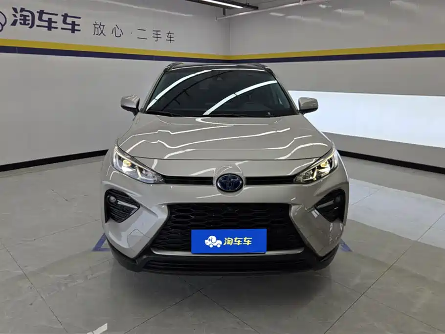 Weilanda 2023 dual-engine 2.5L E-CVT two-wheel drive luxury PLUS edition