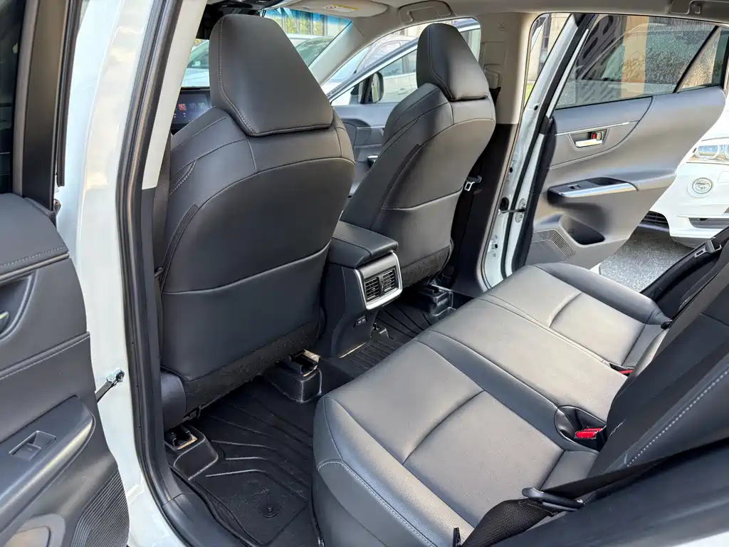 Weisha 2022 dual-engine 2.5L CVT two-wheel drive deluxe edition