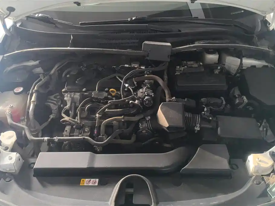 Ralink 2022 TNGA 1.5L CVT Aggressive Version