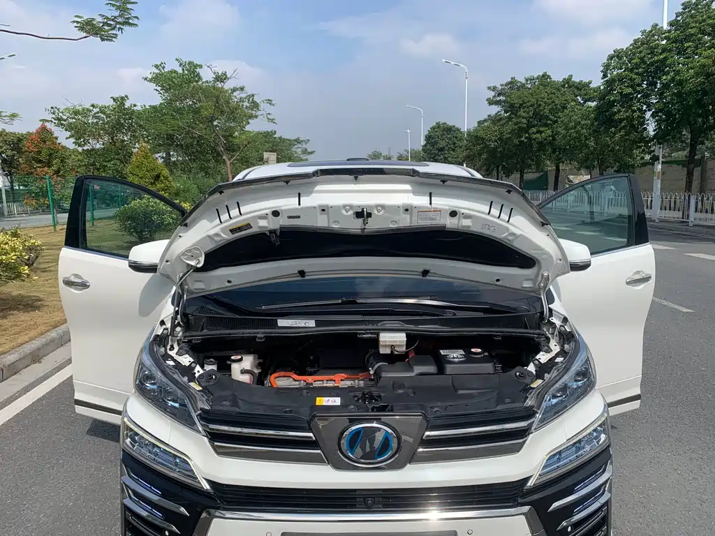 Wilfa 2021 Crown Dual Engine 2.5L HV Premium Edition