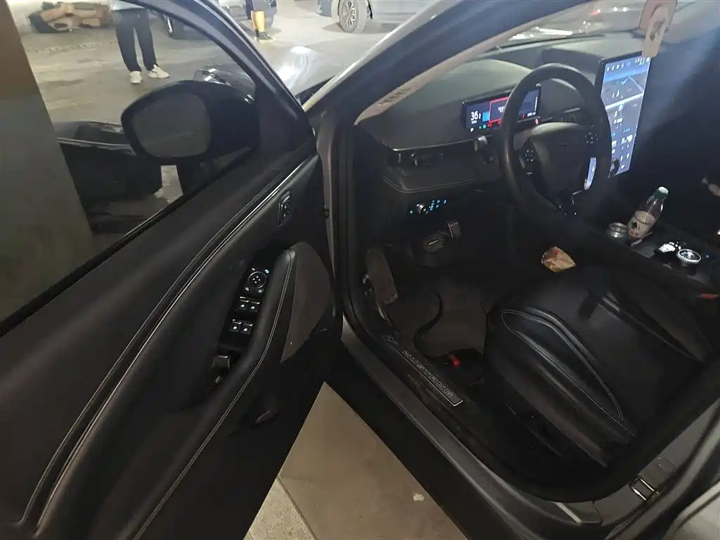 Ford Electric Horse 2021 Borderless Rear Drive Deluxe Edition Long Battery Life