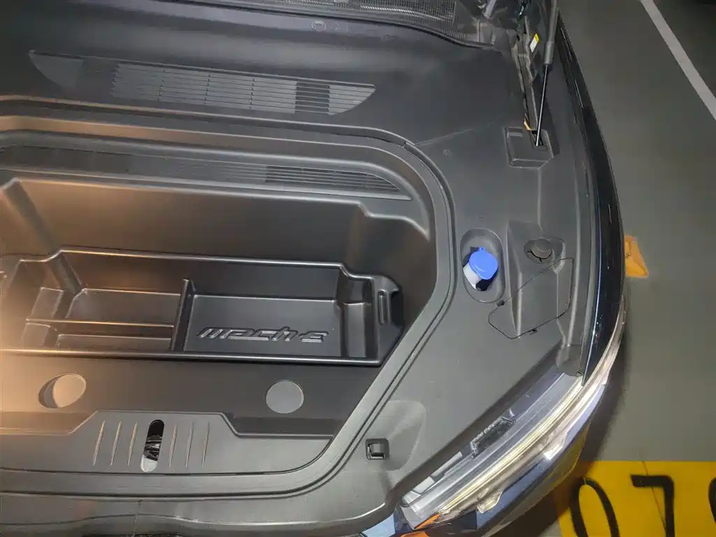 Ford Electric Horse 2021 GT