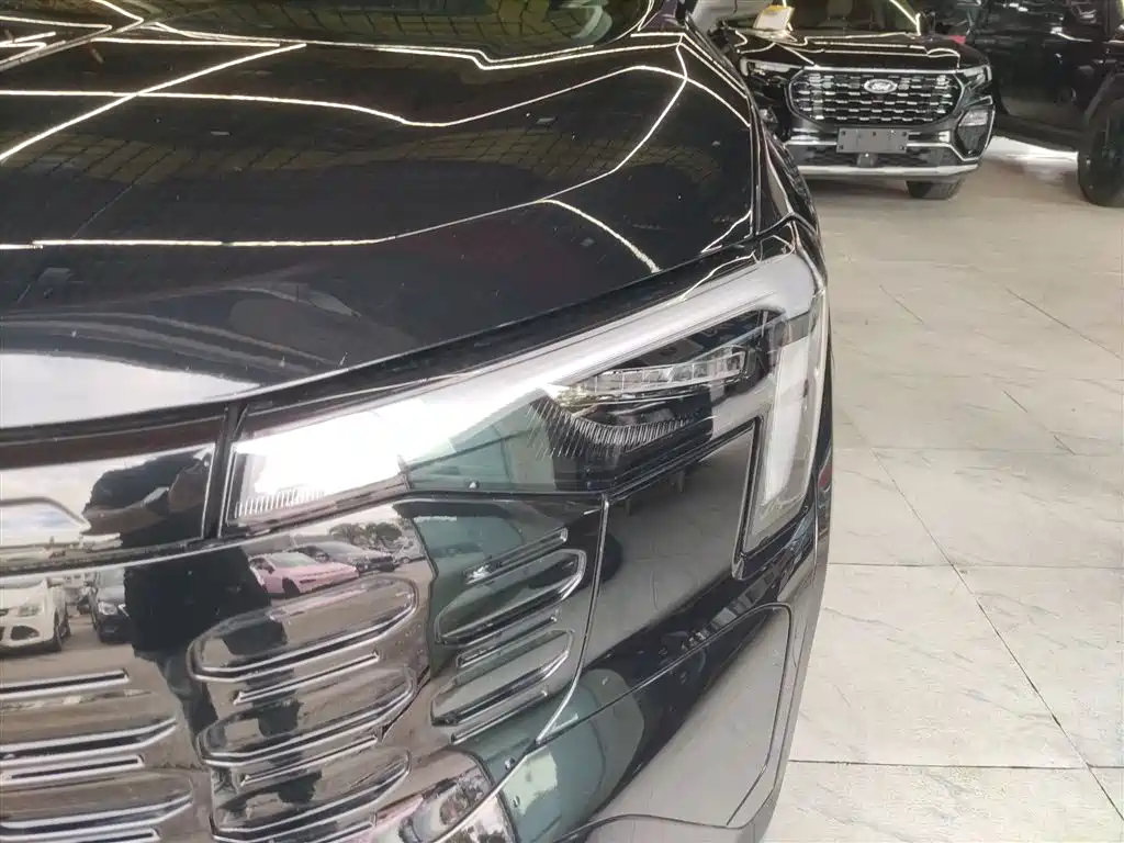 Lingrui 2025 EcoBoost 170 Platinum Collar Type