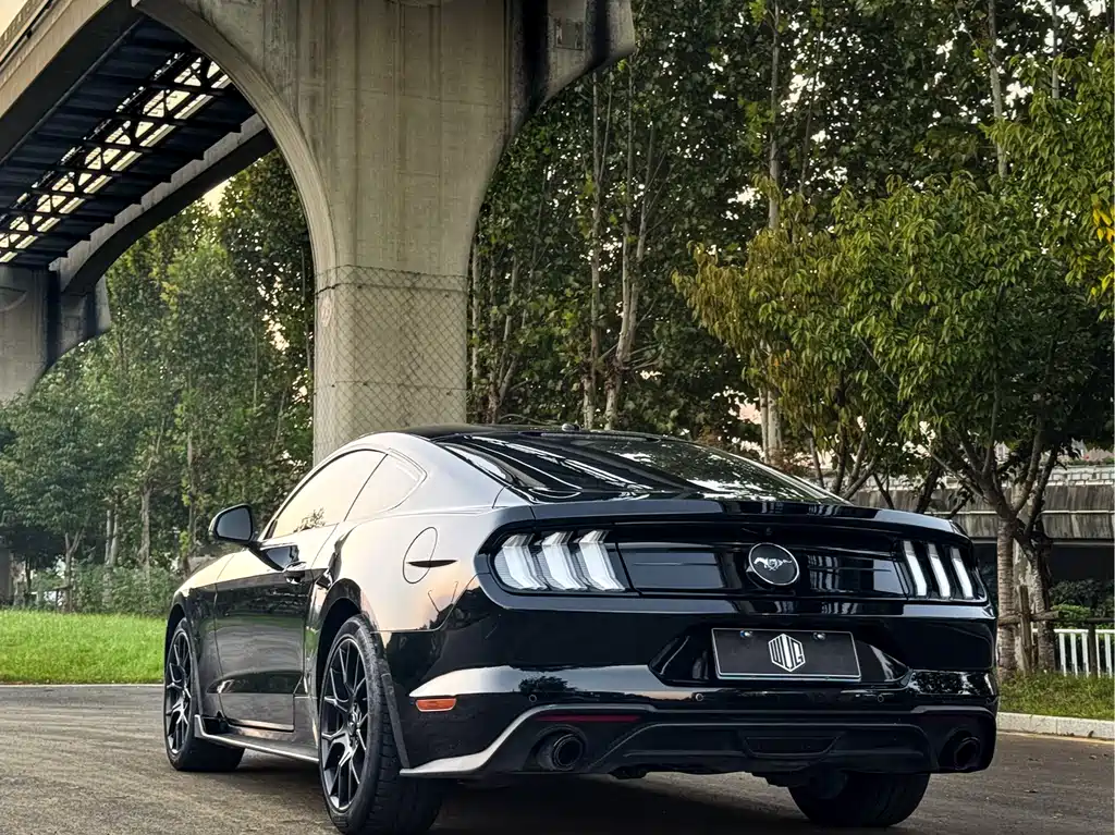 Mustang 2019 2.3L EcoBoost