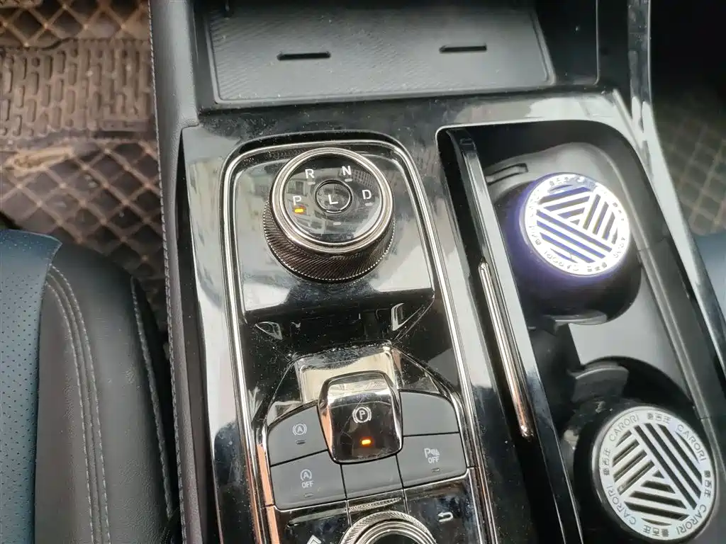 Lingrui 2022 facelift EcoBoost 170 premium Collar type