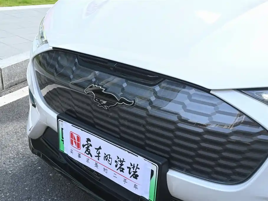 Ford Electric Horse 2021 GT