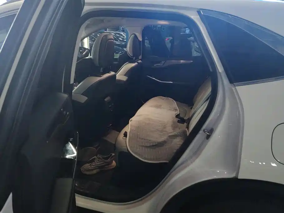 Ruiji 2020 EcoBoost 245 two-wheel drive Yaoxiang model