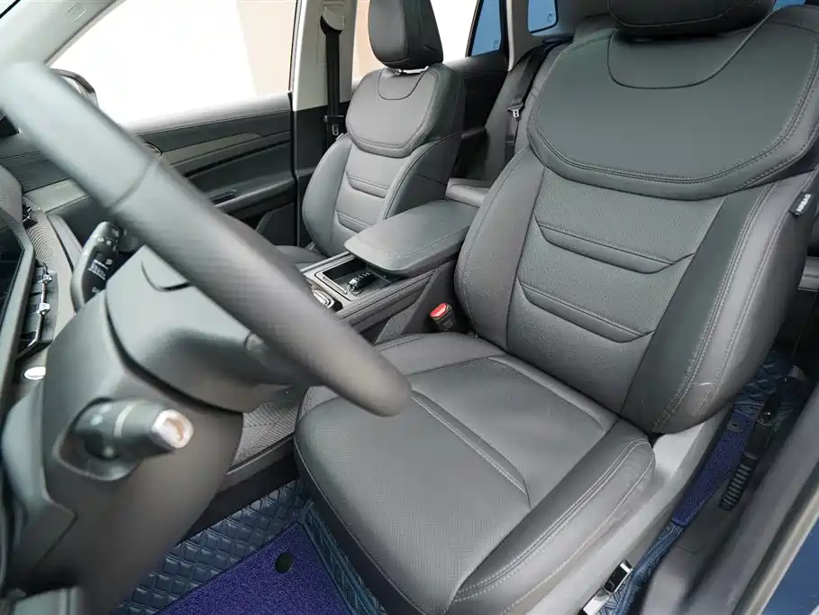 Lingrui 2023 EcoBoost 170 Platinum Collar Type