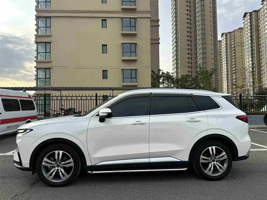 Lingrui 2023 EcoBoost 170 Premium Collar Type