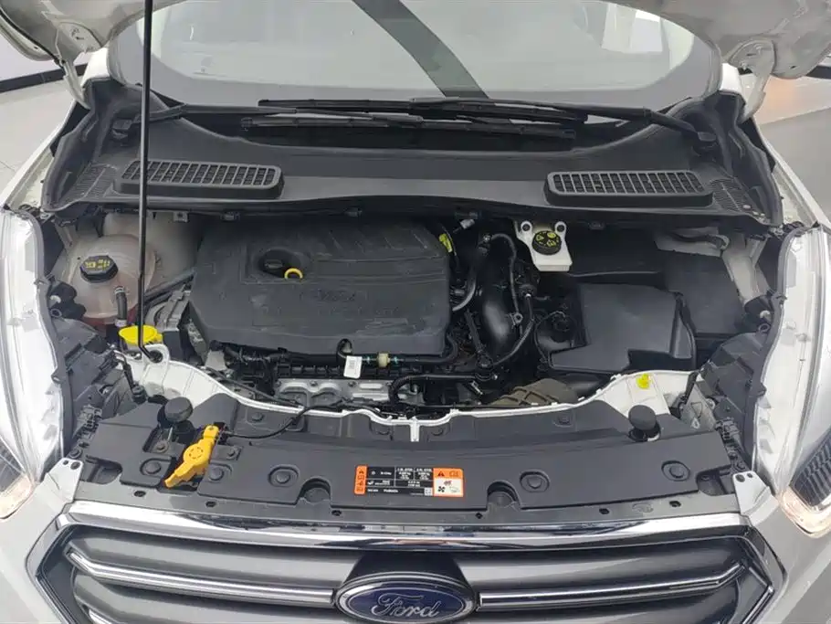 Wing Tiger 2019 EcoBoost 180 two-wheel drive platinum airfoil country VI