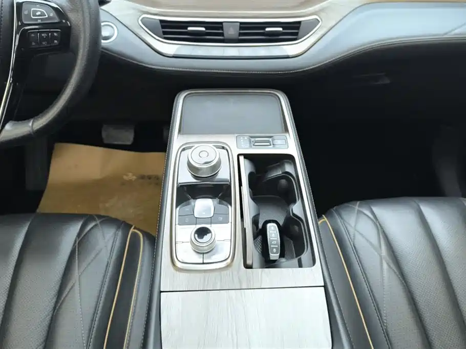 Lingyu 2021 EcoBoost 225 Premium Collar Type 6 Seats