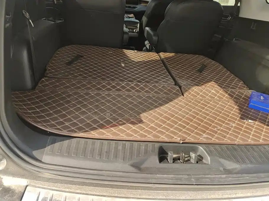 Lingyu 2021 EcoBoost 225 Premium Collar Type 6 Seats