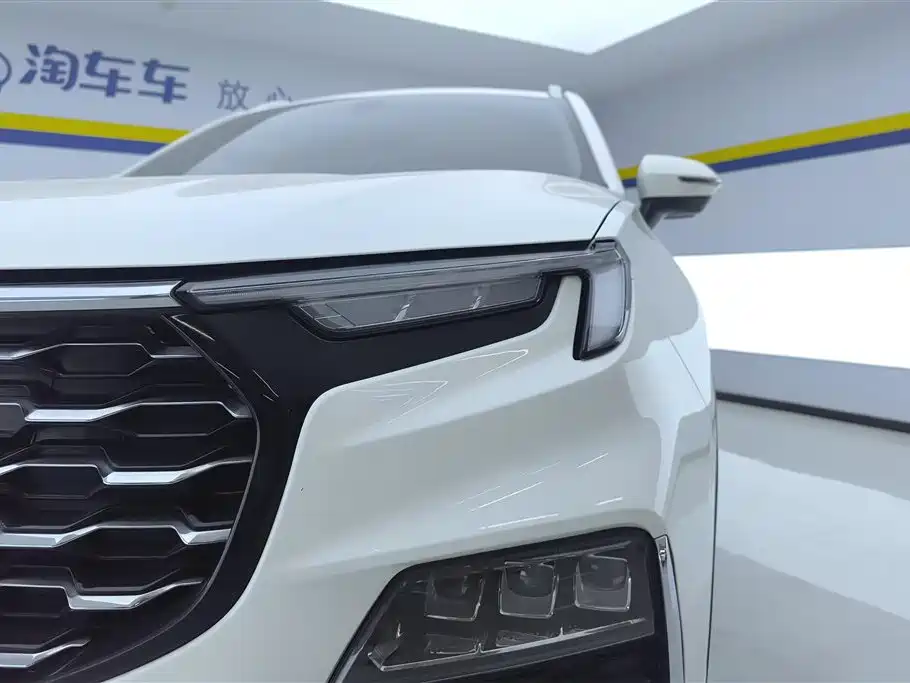 Lingyu 2021 EcoBoost 225 Platinum Collar Type 6 seats