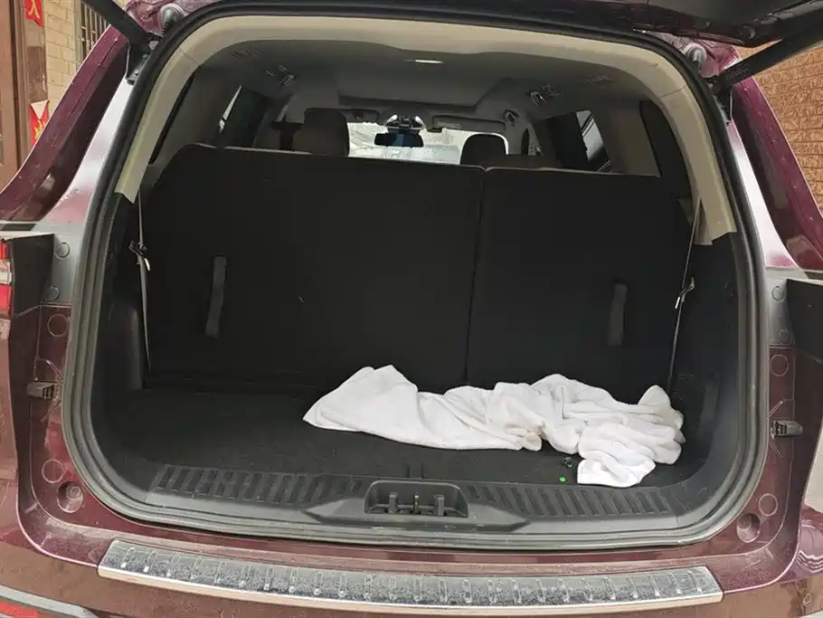 Lingyu 2021 EcoBoost 225 Premium Collar Type 6 Seats