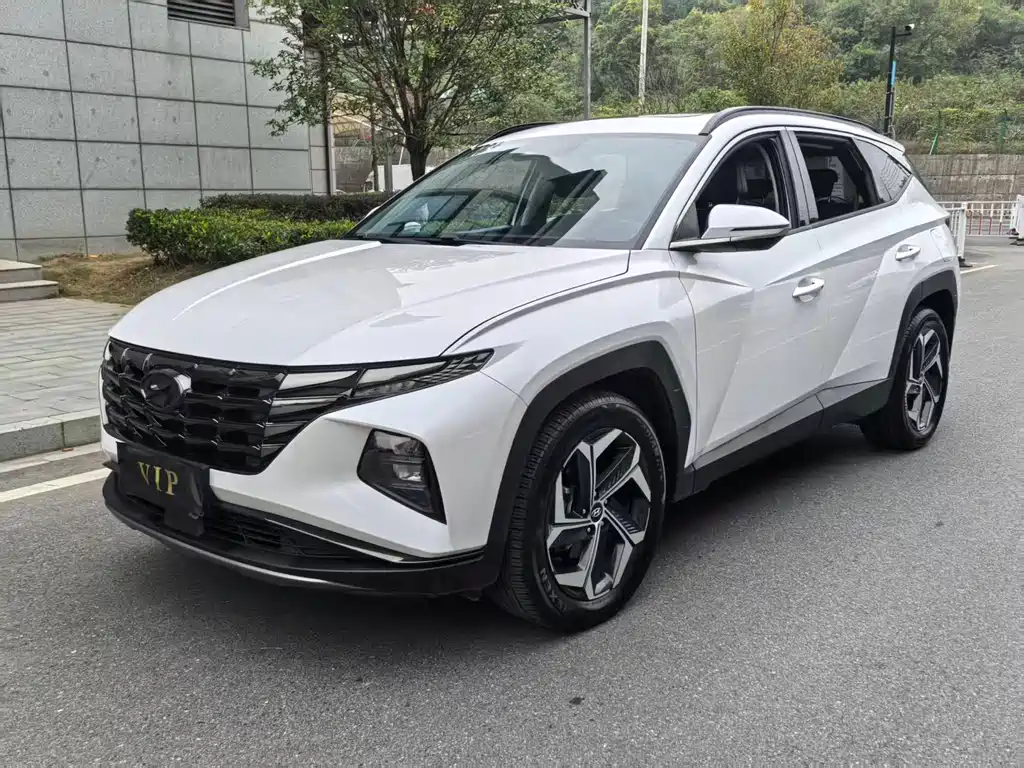 Tucson 2023 Tucson L 1.5T automatic two-wheel drive LUX Premium Edition