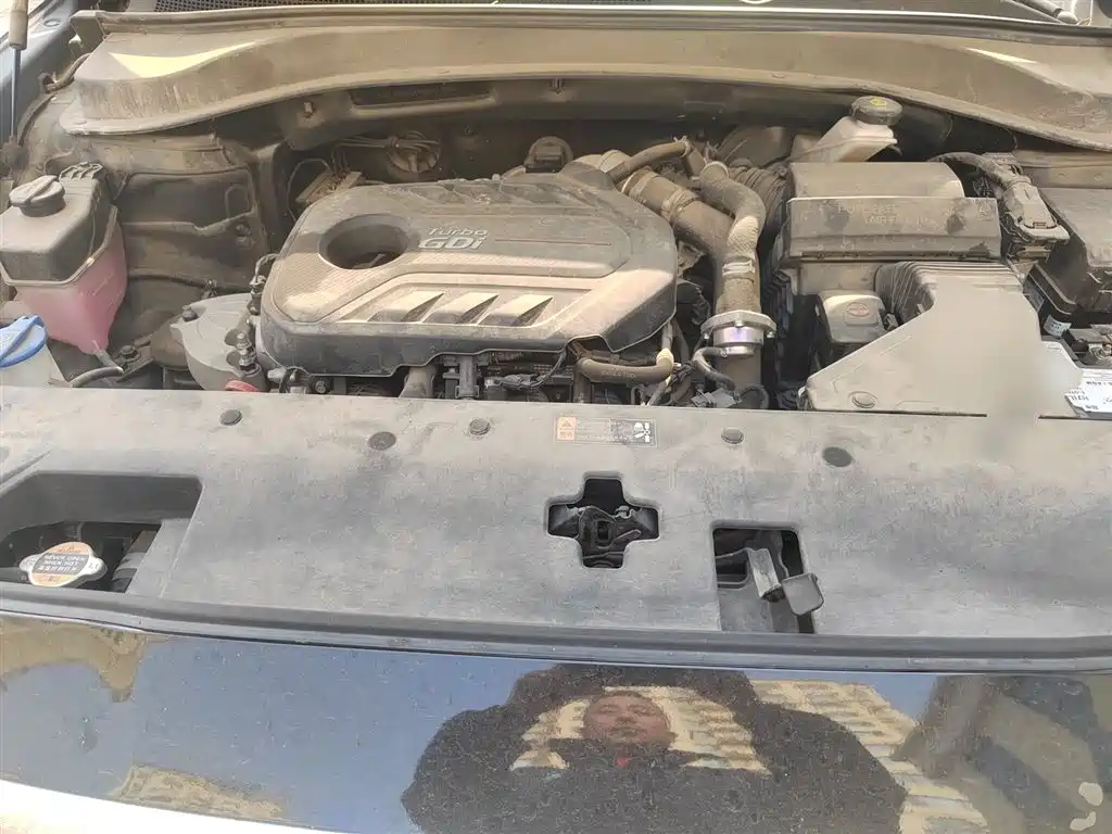 Shengda 2020 380 TGDi automatic two-wheel drive GLS Deluxe Edition