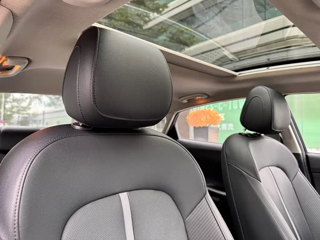 Festa 2019 280TGDi Smart Speed Version Country VI