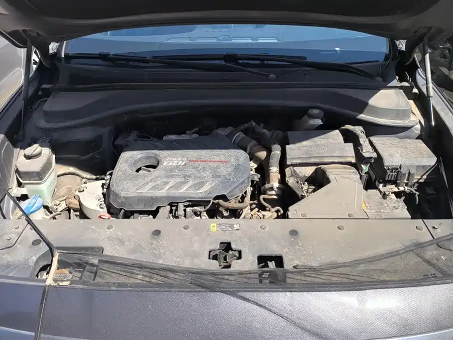 Shengda 2019 model 380 TGDi DLX automatic four-wheel drive Zhizun PLUS (HTRAC) country V