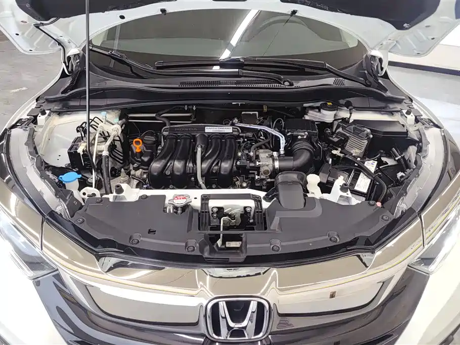 Binzhi 2019 1.5L CVT Pioneer Edition Country V