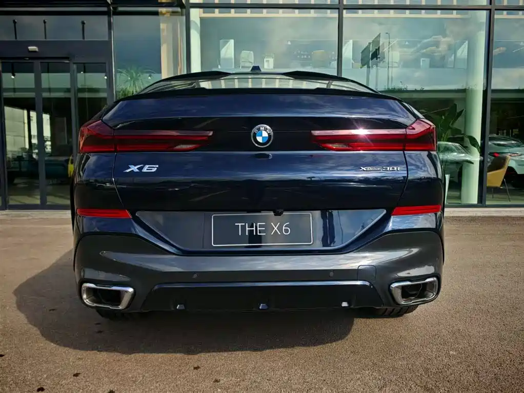 BMW X6 2023 xDrive30i M sports suit