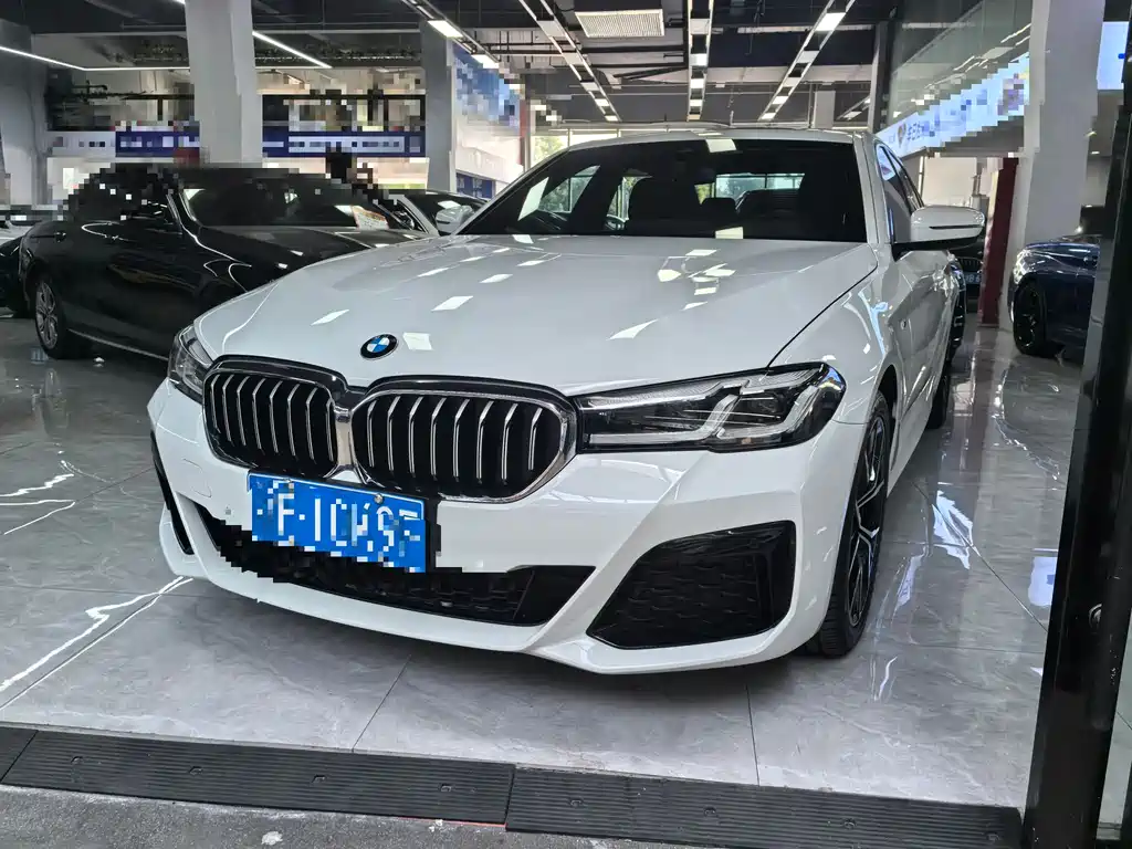 BMW 5 Series (imported) 2022 facelift two 530i M sports suit
