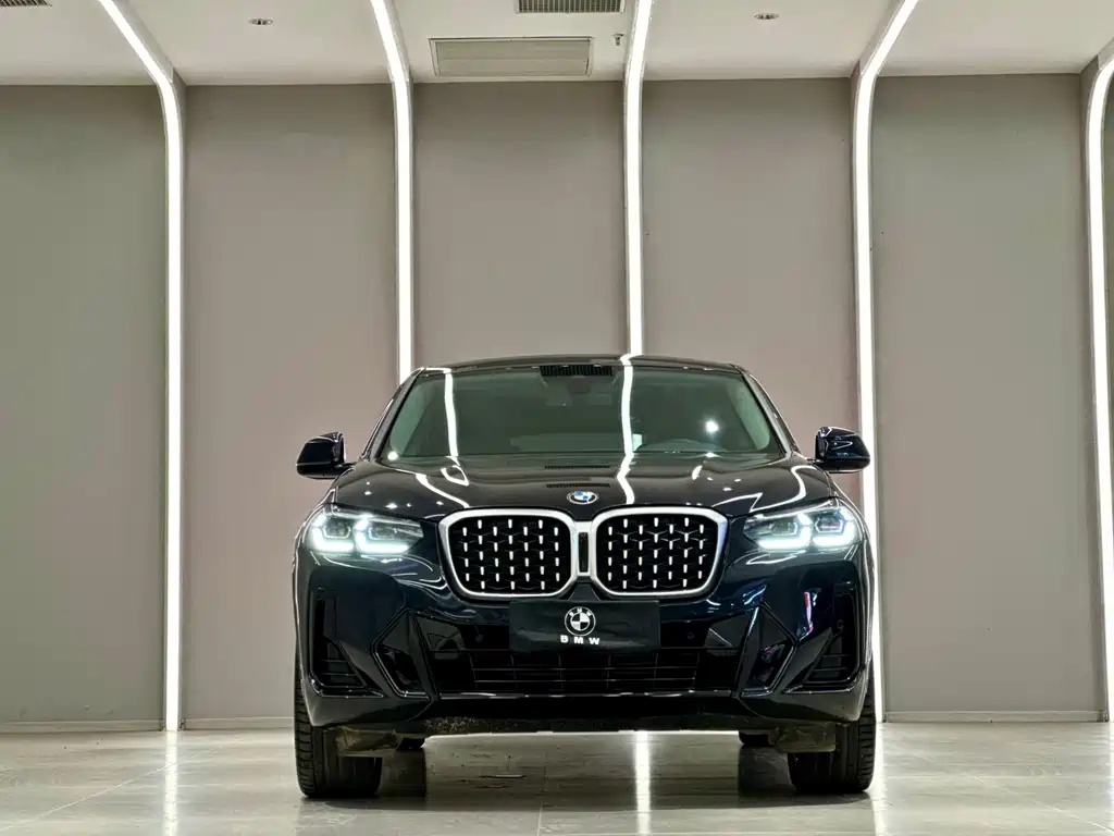 BMW X4 2022 xDrive 25i M sports Suit