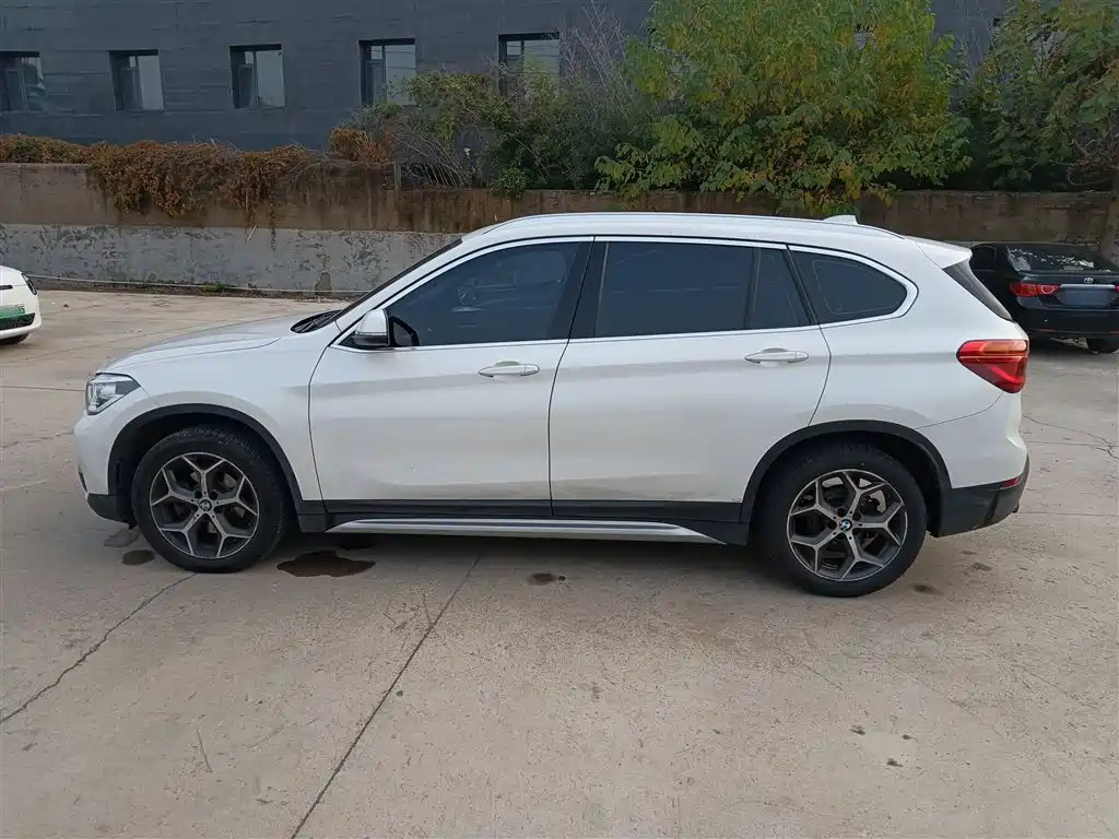 BMW X1 2019 sDrive18Li Exclusive type