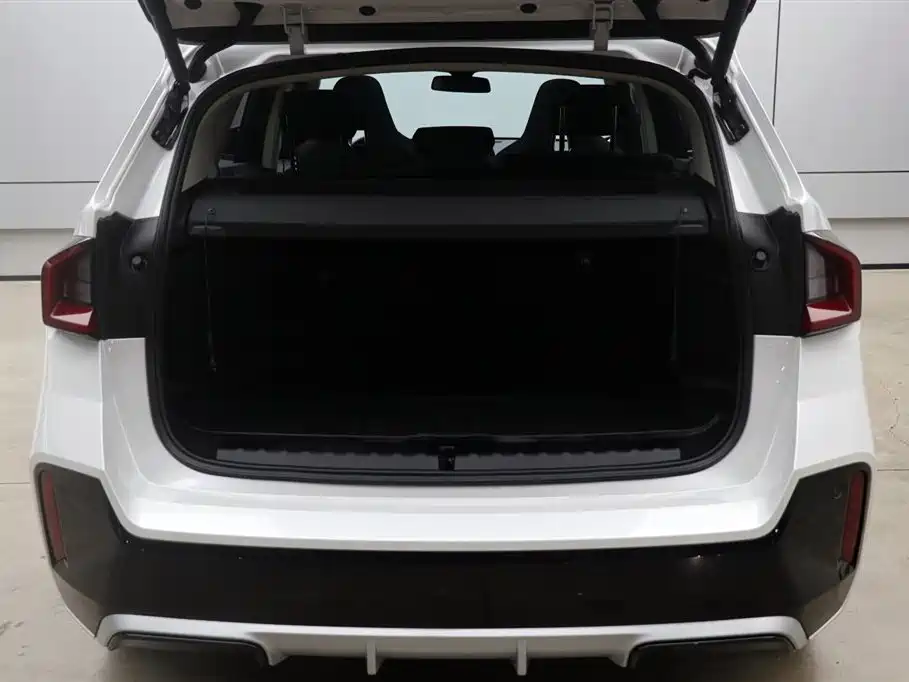 BMW iX1 2023 xDrive30L M sports suit