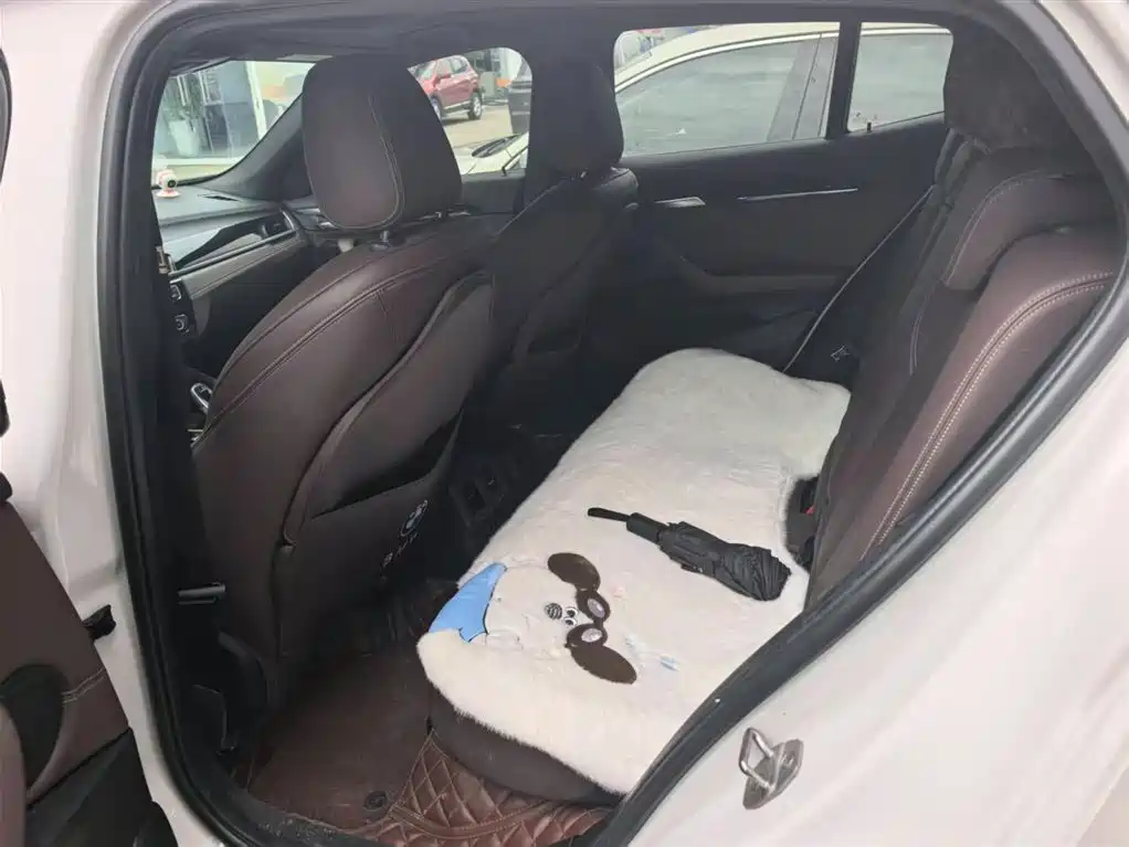 BMW X2 2020 sDrive25i leading M sports suit