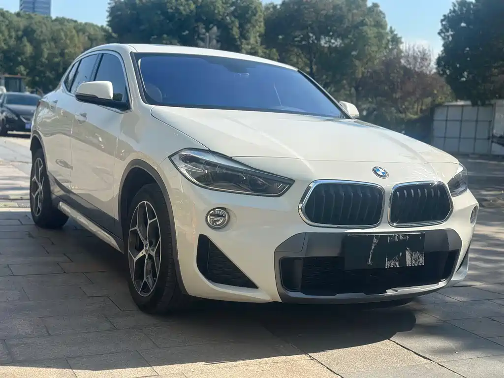 BMW X2 imported 2019 sDrive20i M off-road set country VI