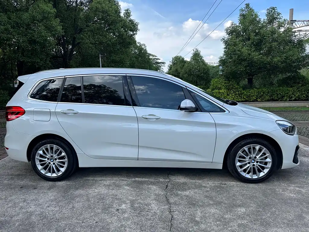BMW 2 Series multifunctional Station wagon 2019 220i leading model