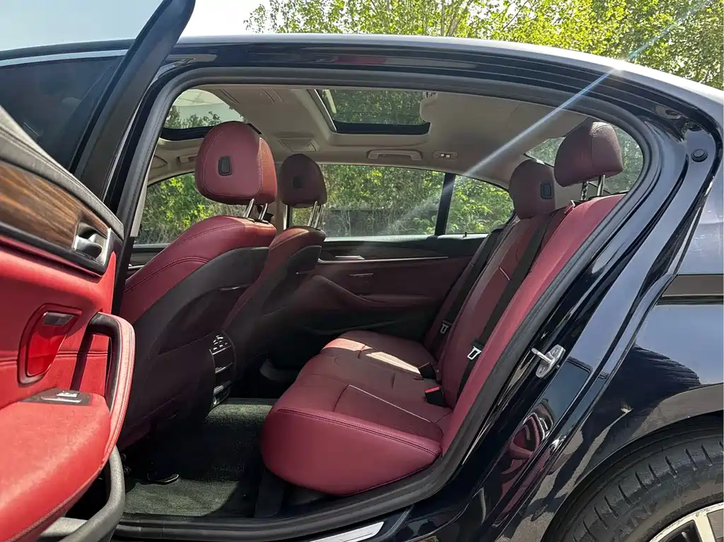 BMW 5 Series 2021 530Li leading luxury Set