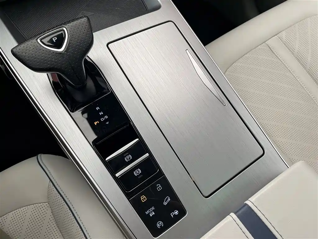 Whale 2022 2.0T Blue Whale Version