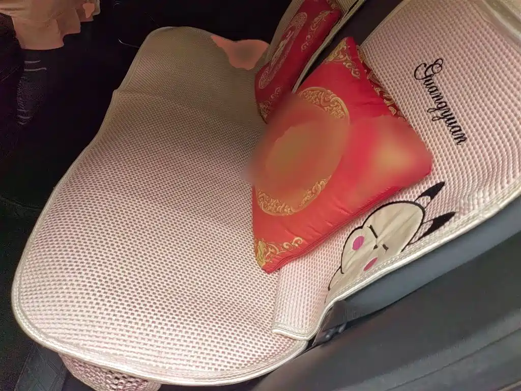 Binyue 2019 Sports Model 260T DCT Ranger Country VI