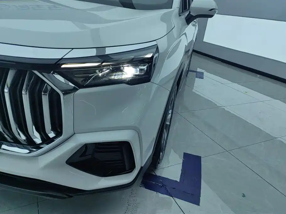 Haoyue L 2024 2.0T DCT flagship model