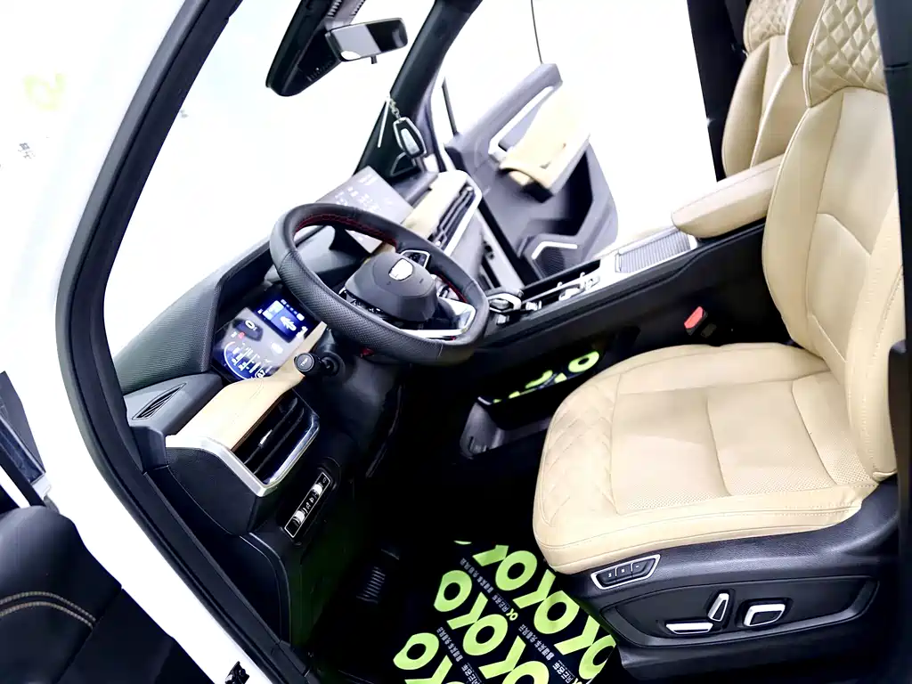 Haoyue L 2023 2.0T DCT flagship model