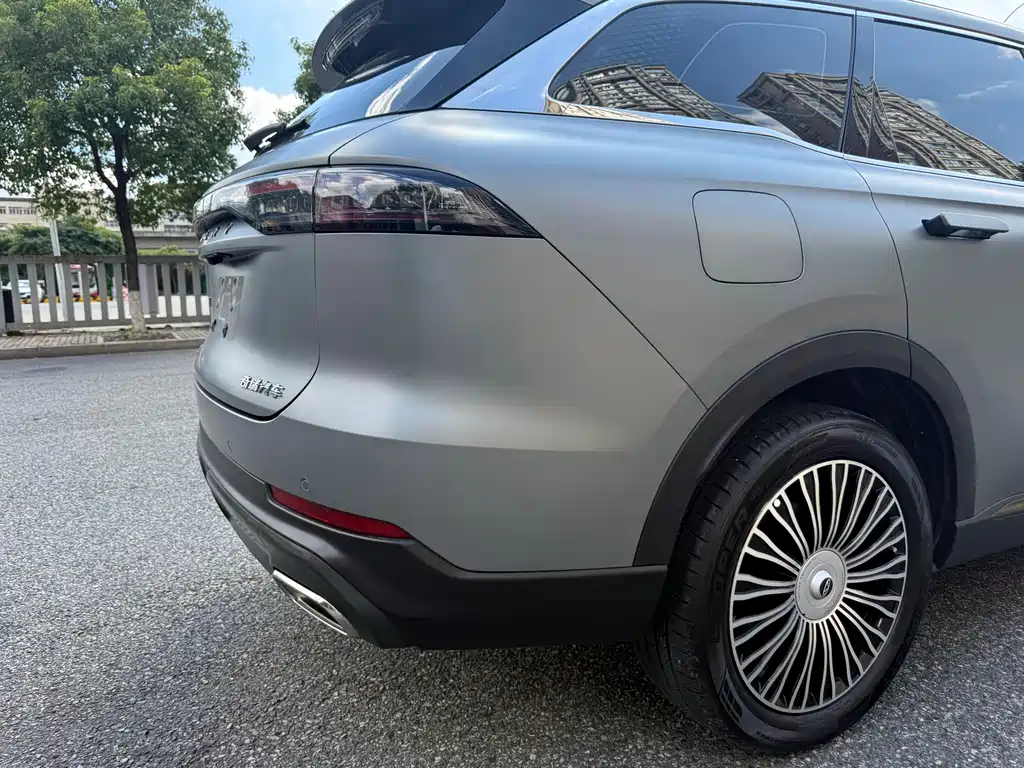 Tiggo 8L 2024 2.0T two-wheel drive Premium Edition 5 seats