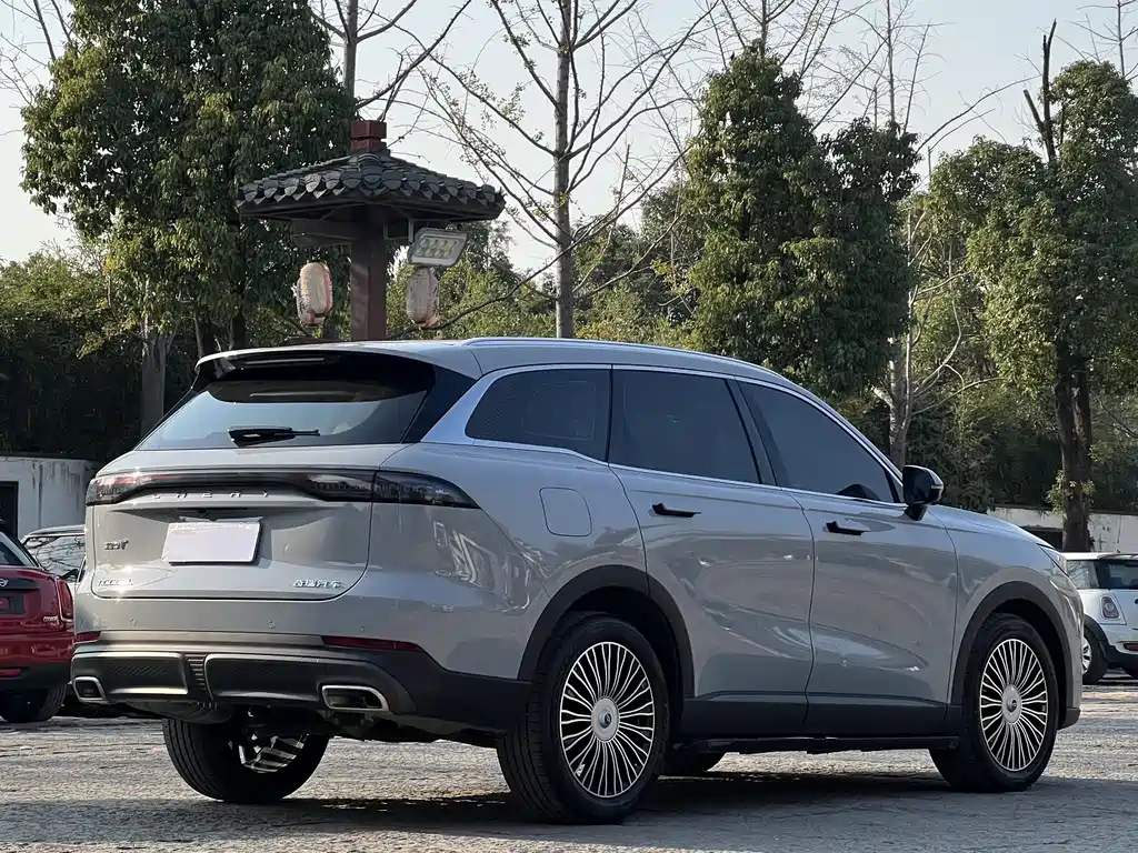 Tiggo 8L 2024 2.0T two-wheel drive Deluxe Edition 5 seats