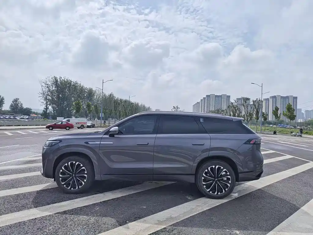 Tiggo 9 2023 2.0T dual-clutch two-wheel drive premium edition 5 seats