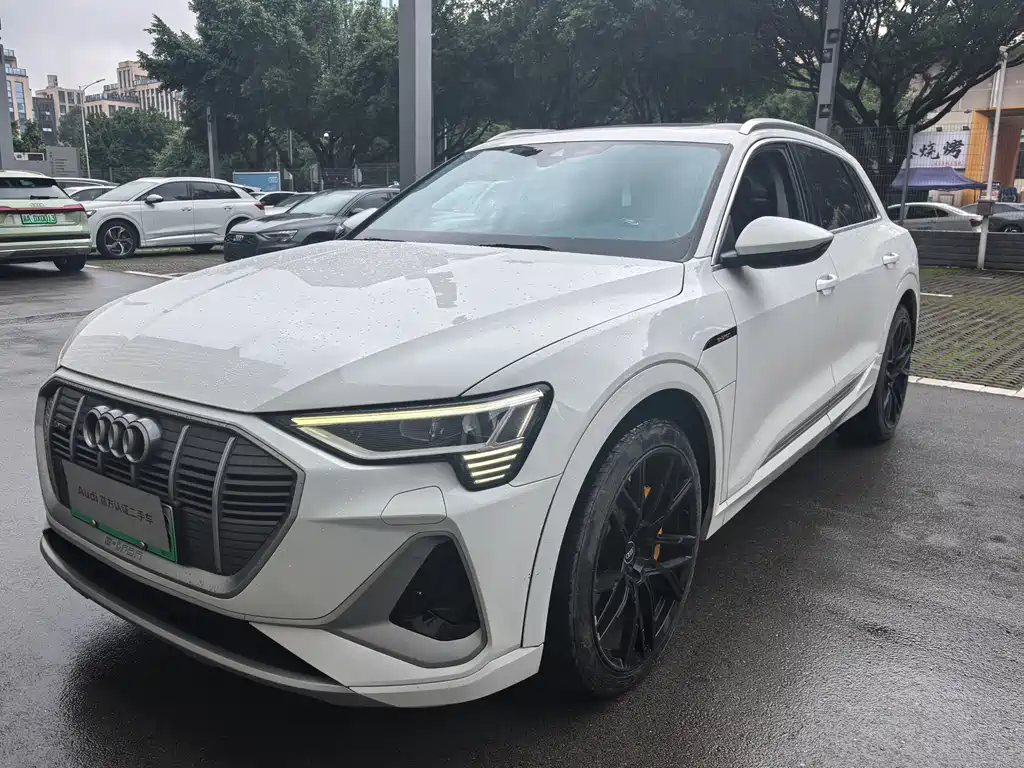 Audi e-tron 2021 model 50 quattro luxury