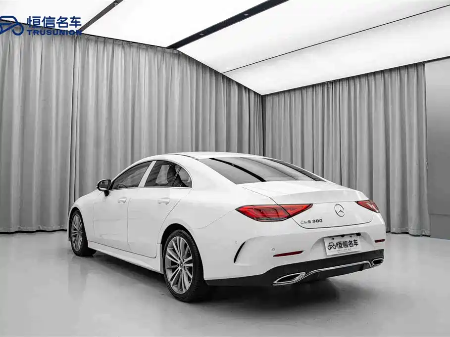 Mercedes-Benz CLS 2020 CLS 300 dynamic type